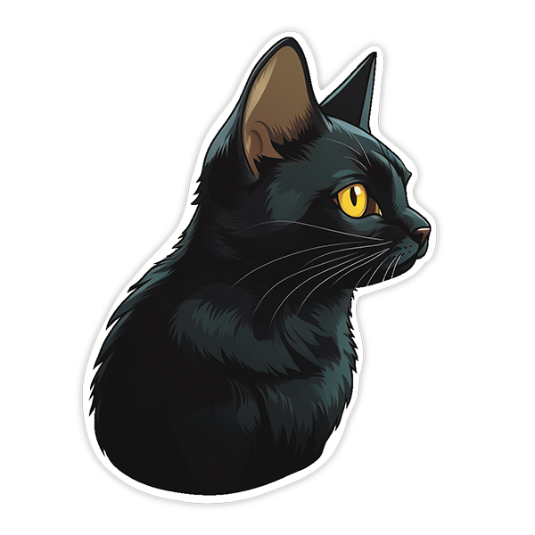 Fekete macska oldalról